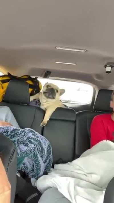 So, the road trip's going well!