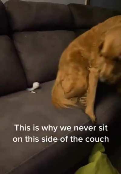 he has done this before