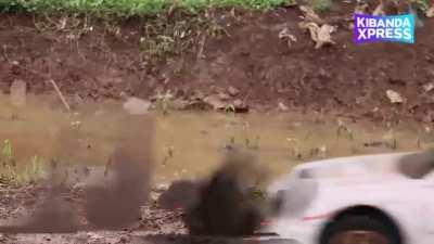 PagMan 👉 New Wakaliwood Movie: Kapitano