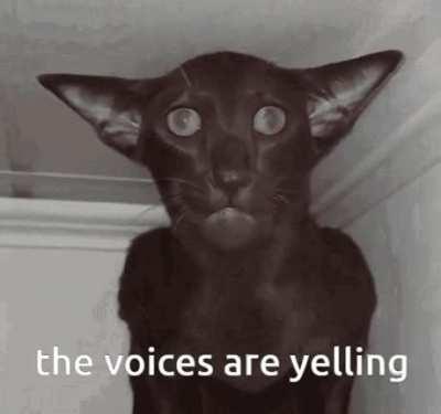 The voices- uh can I get uhhh muh fucken spicy mc chicken!