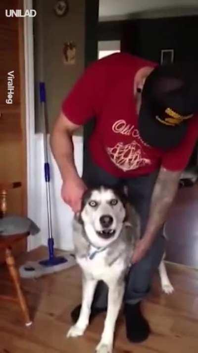 Lo más barato que pude conseguir en Elektra