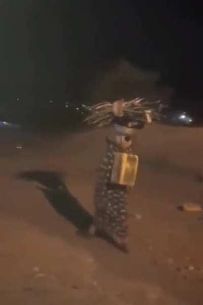 Fearless african woman walks past hyenas