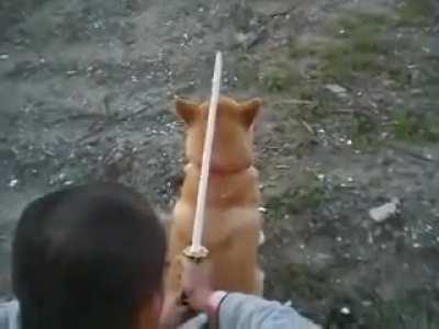 MaN sTrUgGlEs To KiLl OpPoNeNt, EnEmY lOoKs HiM iN tHe EyEs, BeGgInG fOr DeAtH