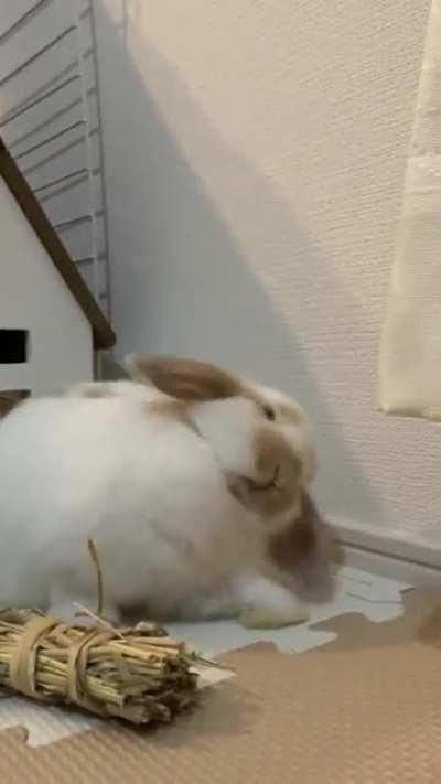 Love his ear scratching face