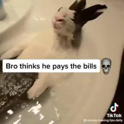 BOR THINKS BRO THIN BRO THINK H 💀💀💀