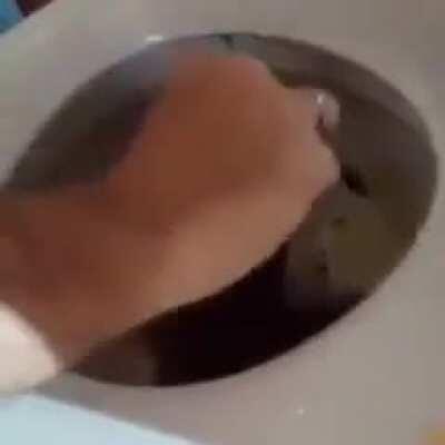 When mom forgets to flush 🥰😳