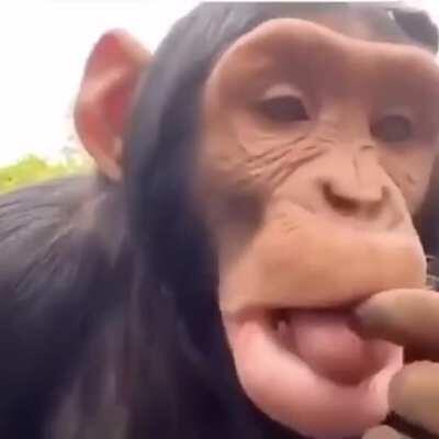 TA BONITÃO EM CHEFE 😎✌️