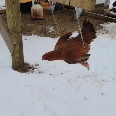 She is rocking the swing as high as she can get it to go