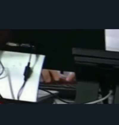 I need to knock on the keys, otherwise they won't give me food