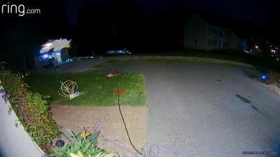 my neighbor had a little firework mishap