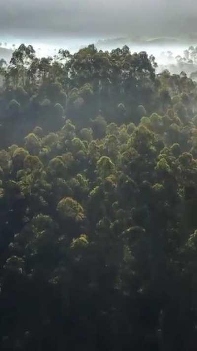 That Gives Me Super Satisfaction!! Somewhere In the Middle of India!!