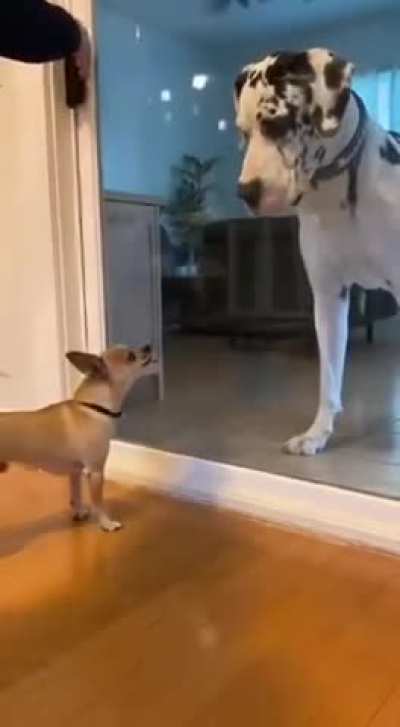 Acting brave behind closed door 😅😅😅😅