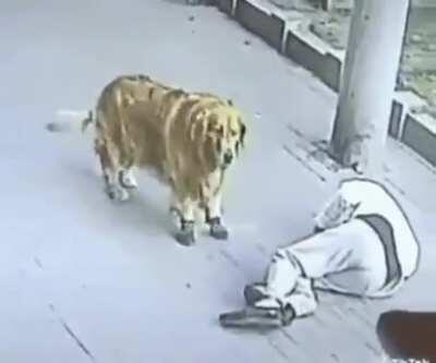 Komutan Logar bir cisim yaklaşıyor efendim.