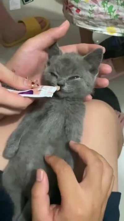 Hungry baby or Naughty