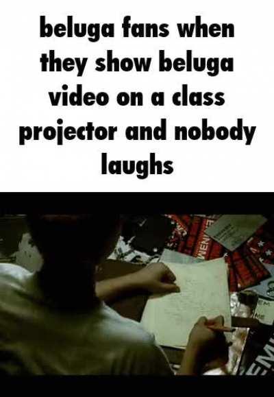 beluga fans