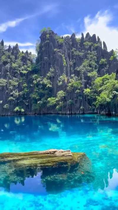 Twin Lagoon, Coron, Philippines is made up of two bodies of water separated by stunning limestone cliffs with the most outstanding geological features of the region