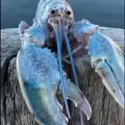 😱😱😱JUMPSCARE