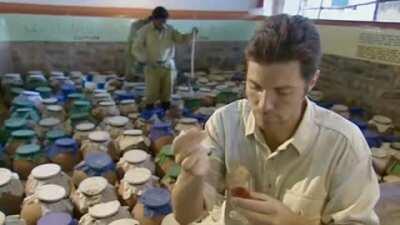 Thanks, I hate jelly blood