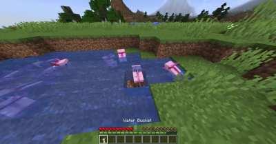 I retextured the buckets, based on a legendary image of a rat