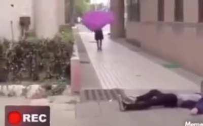 funny valentine runs away