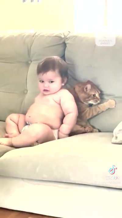 Watch your kid push the buttons of something with claws and teeth