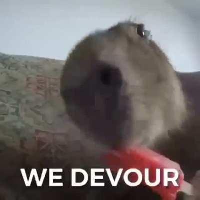 como encuentro esta cancion en youtube?