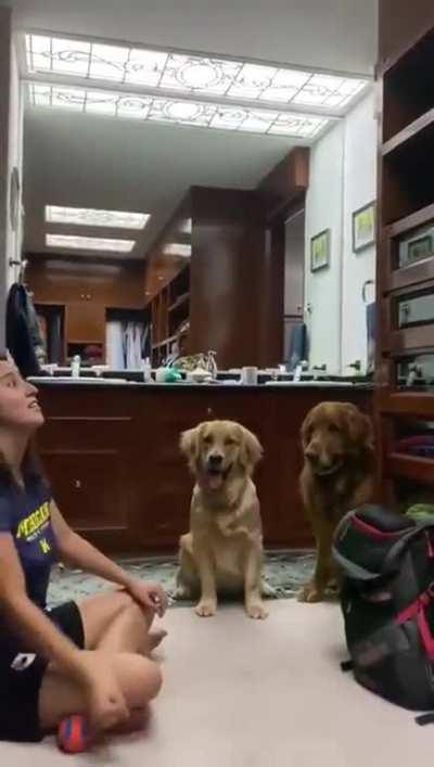 Disappearing ball trick