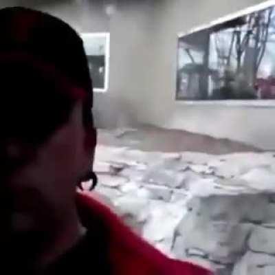 noooo spinning gorila F😔🤘