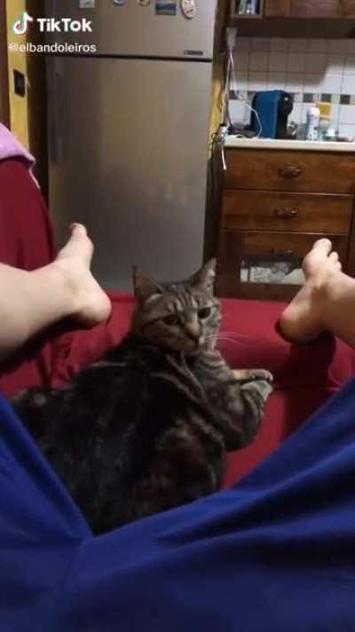 Wtf is wrong with you Steve?