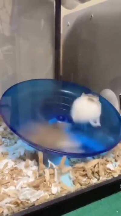 JJ should get Morpheus and Neo one.