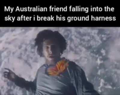 Is this why matto doesn’t go outside?