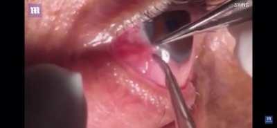 Sub is starting to go down with non-suffer worthy posts, i’ll even it out