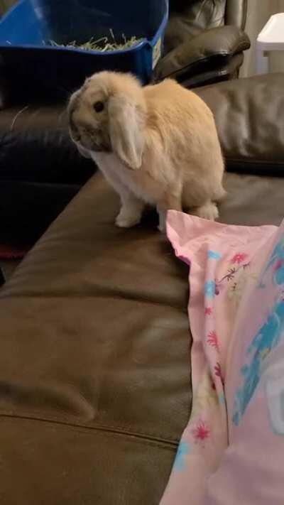 The Flash aka Princess Chicken McThumpington