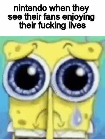 nintendont enjoy your life