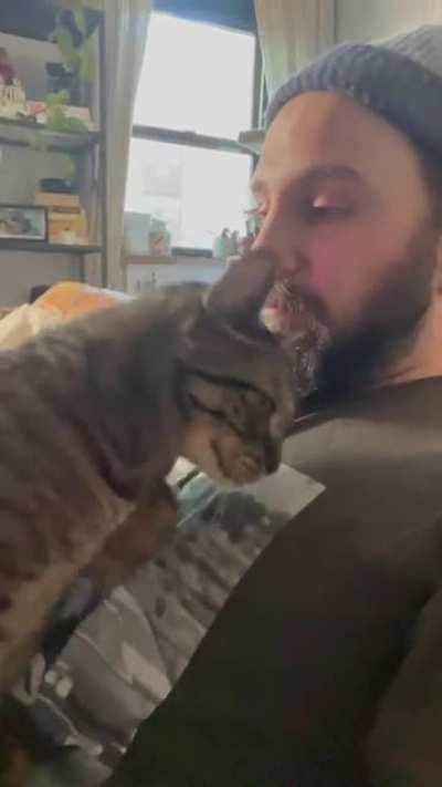 Coast is clear…? Cuddle time