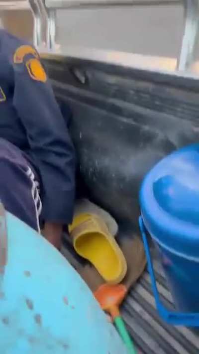 Dont worry its vision is based on movement