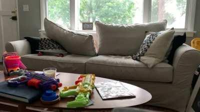 Maverick is still new to this hide and seek thing.