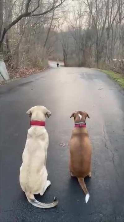 Waiting for the kids to come home from school