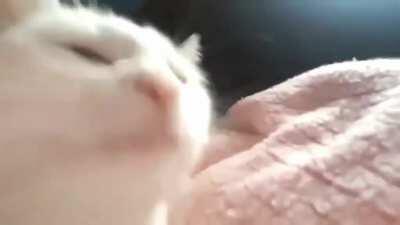 Me when I enter Snif City