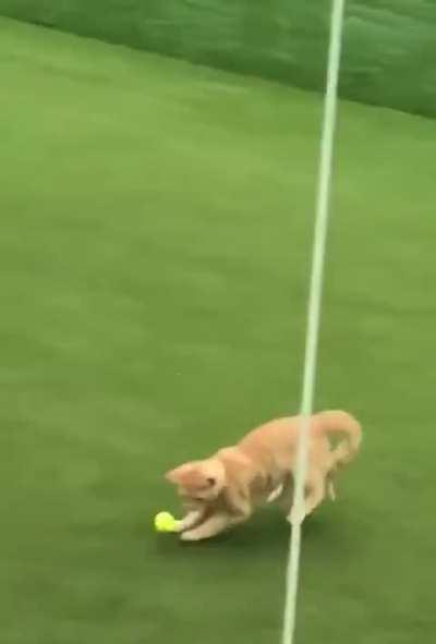 Not so easy when there’s a defense.