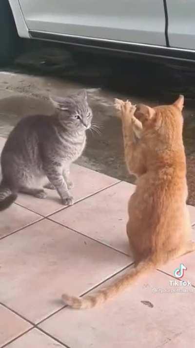 What kind of sorcery is this