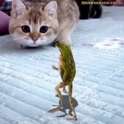 Indian Classical Songs are fire!!!