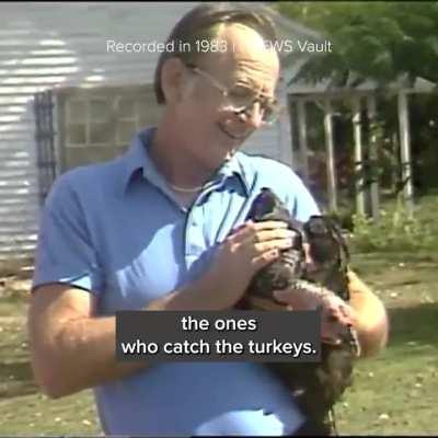 Happy thanksgiving shittypylote friends. *Obligatory what playne is this?*