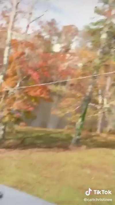 Seeing Double (CaitChristinee x Taya Miller)