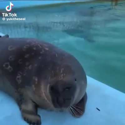 I rlly like this video