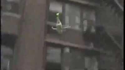 Kermit has an exaggerated swagger of a black teen