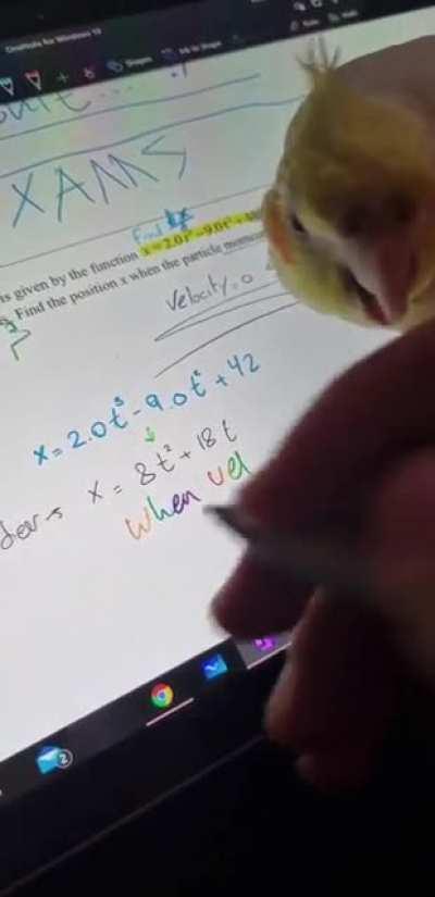 Sir, can I study *_*