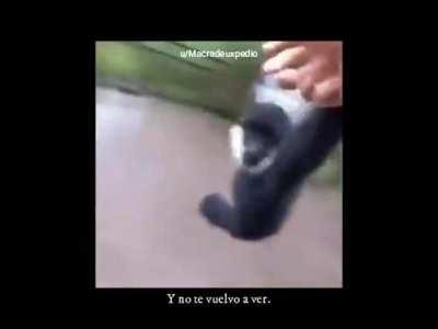 He puesto mi alma en esto ¿Pero vale 5 Subs?