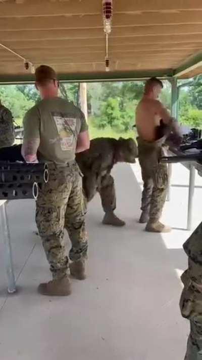 Credible American efficiency