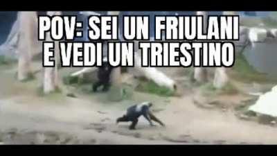 Tratta da una storia vera